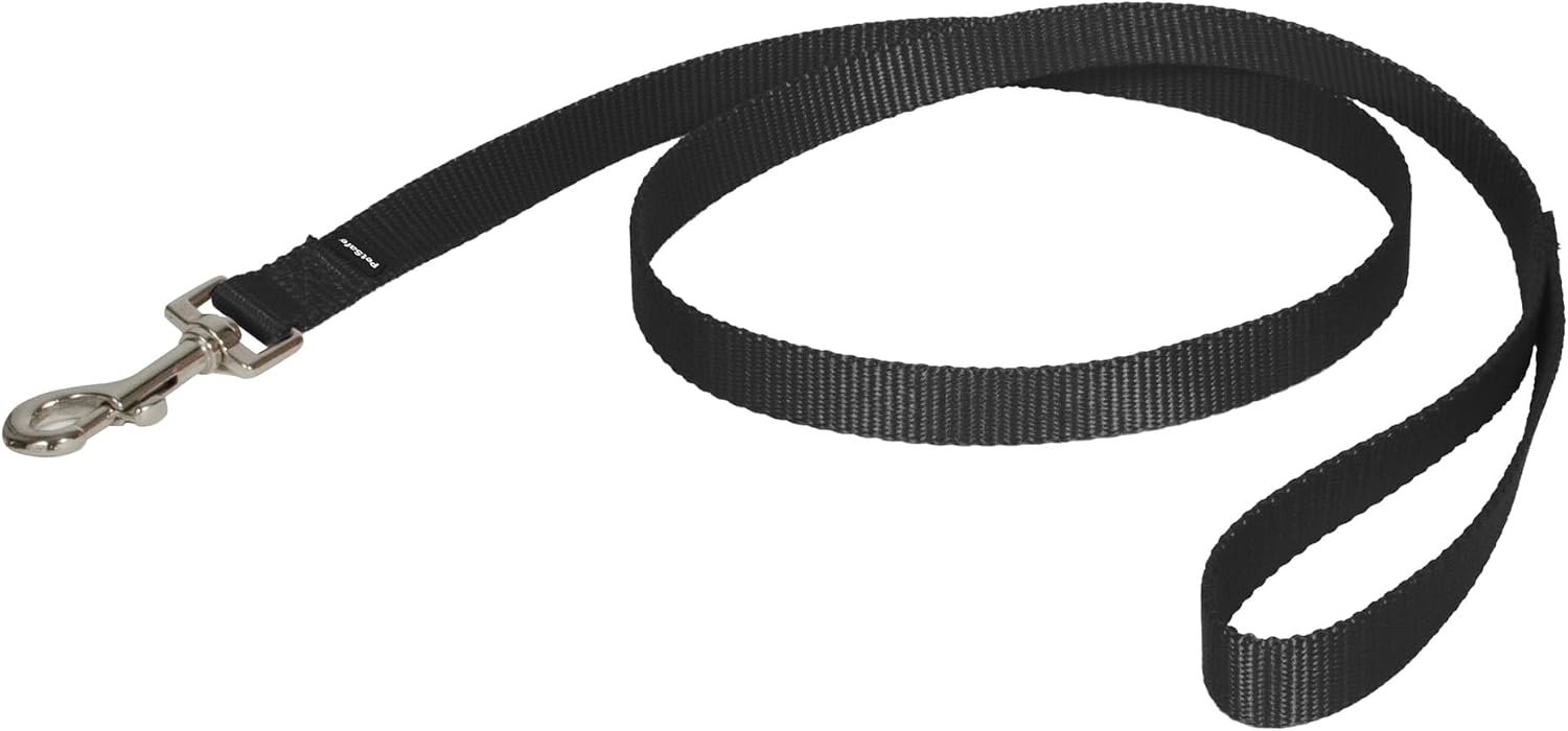 Nylon Leash - Chew-Resistant Cat & Dog Behavioral Training Leash - Compatible withHarness - Traditional-Style Reliable Pet Lead with a Padded Hand Wrap - 3/4" x 4' - Black